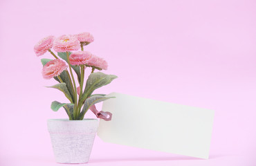 Flower pot with blank paper note on the pink background
