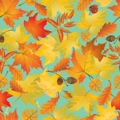 Seamless pattern with red and yellow autumn leaves. Fall season