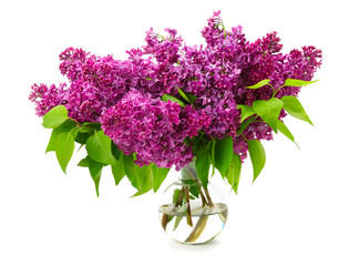 bouquet of lilac in a glass vase isolated on white background