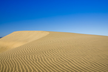 Dunes of Maspalomas