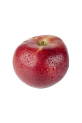 red ripe apple