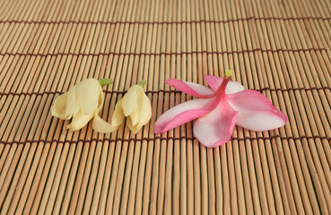 Abstract soft focus and selective focus of White champaka and  panicle of Plumeria flower on the bamboo basketry.
