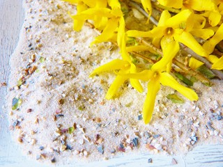 blühende Forsythien am Strand