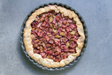 Rhubarb pie, cake, isolated. Gray background. 