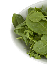 fresh leafy spinach
