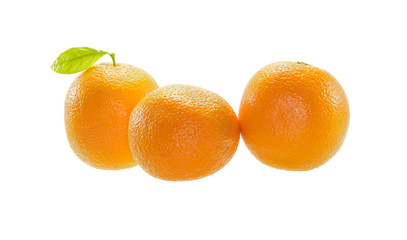  Orange fruit
