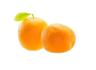  Orange fruit