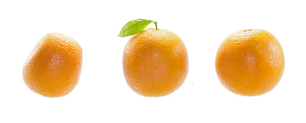  Orange fruit