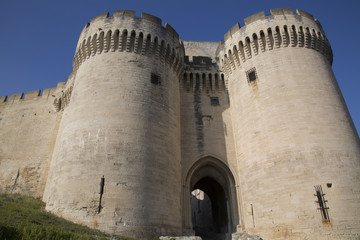 Fototapeta na wymiar Saint Andre Fort and Castle; Villeneuve les Avignon