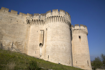 Fototapeta na wymiar Saint Andre Fort and Castle; Villeneuve les Avignon