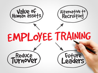 Employee training strategy mind map, business concept
