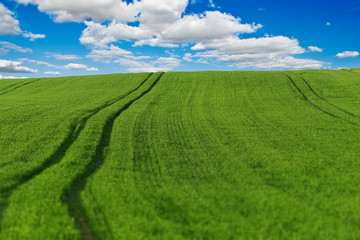 Ślady traktory na wielkim zielonym polu