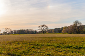 Fototapeta premium Abendstimmung im Frühjahr über Engelsbrands Feldern