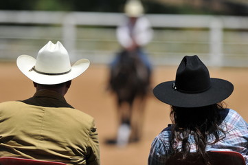 View on the backs of judges with a rider on a background during the NRHA competition