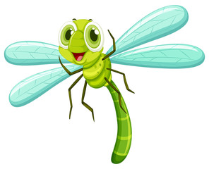 Dragonfly with happy face