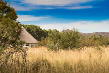 African thatched hut in the bush veld