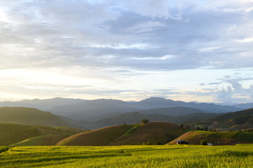 Wonderful Rice Terraces during Sunset , MaeCham Chiang Mai, Thailand