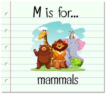 Flashcard letter M is for mammals