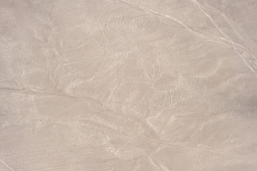 Nasca line of The Monkey Geoglyph, Nazca, Peru