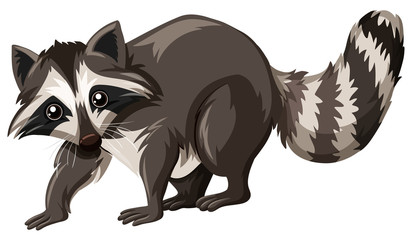 Cute raccoon on white background © blueringmedia