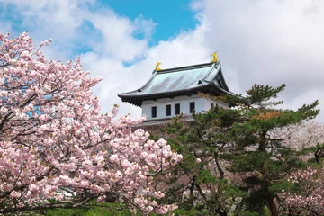 Gartenposter Kirschblüte 桜と松前城