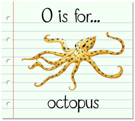 Flashcard letter O is for octopus © blueringmedia