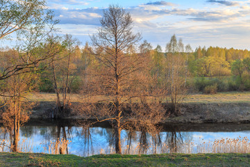 Весенний вечер, ольха на берегу реки © vredaktor