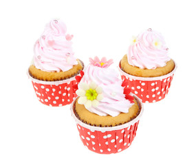 Love cupcake isolate on white.