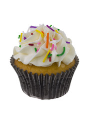cupcake with icing and sprinkles
