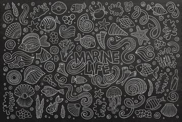 Chalkboard set of marine life objects