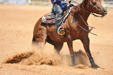 Fragment of the side view of a rider in the chaps on a horseback during the NRHA competition.