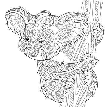Zentangle stylized cartoon koala bear, isolated on white background. Hand drawn sketch for adult antistress coloring page, T-shirt emblem, logo or tattoo with doodle, zentangle, floral design elements