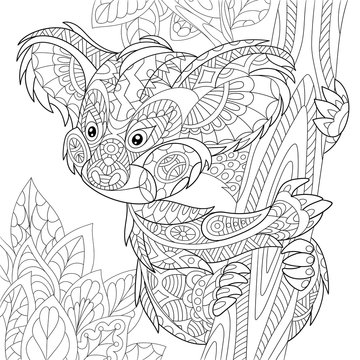 Zentangle stylized cartoon koala bear sitting among tree leaves. Hand drawn sketch for adult antistress coloring page, T-shirt emblem, logo or tattoo with doodle, zentangle, floral design elements.