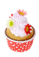 cupcake isolate on white.