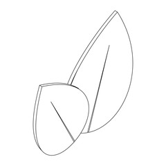 Two leaves icon, isometric 3d style