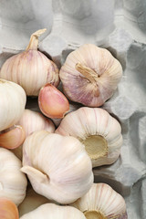 Garlic background