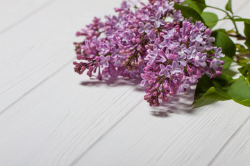 The beautiful lilac on a wooden background. Lilac flowers on a white background.