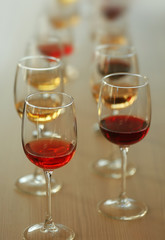 Many glasses of different wine in a row on a table