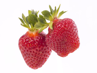 fresh whole individual strawberries