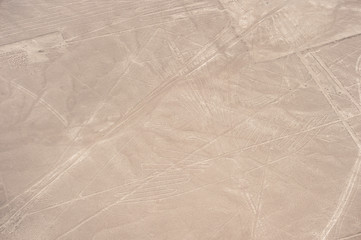 Nasca line of The Condor Geoglyph, Nazca, Peru