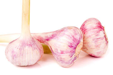three fresh garlic head isolated on white background