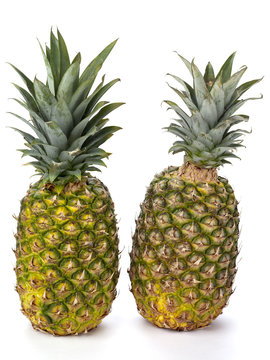 two pineapples on white © Dan Kosmayer