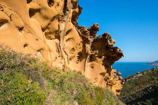 Sandstone in Gran Canto zone of Jaizkibel, Basque Country (Spain)