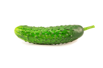 Fresh cucumber vegetable