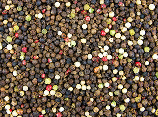 Multi Colored peppers spices