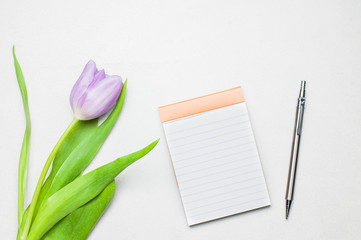 Purple tulip, an empty note book and pencil
