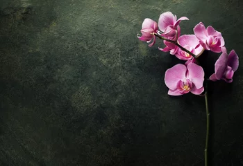Zelfklevend Fotobehang Pink orchid on a dark background © Natalia Klenova