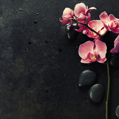 Spa stones and pink orchid on the dark background