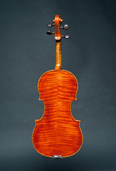 violin back on black © Roman Pyshchyk