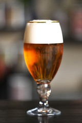 Glass of beer in a bar, close up